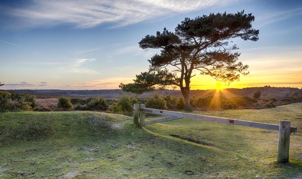 The Knightwood Oak A Luxury King Size En-Suite Space - Lymington New Forest With Totally Private Entrance - Key Box Entry - Free Parking & Private Outdoor Seating Area - Town ,Shops , Pubs & Solent Way Walking Distance & Complimentary Breakfast Items Eksteriør bilde