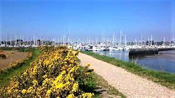 The Knightwood Oak A Luxury King Size En-Suite Space - Lymington New Forest With Totally Private Entrance - Key Box Entry - Free Parking & Private Outdoor Seating Area - Town ,Shops , Pubs & Solent Way Walking Distance & Complimentary Breakfast Items Eksteriør bilde